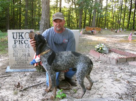 A Resting Place For Hunting Hounds In Alabama | NCPR News