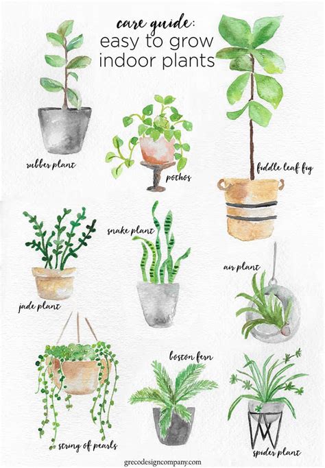 How to Style Indoor Plants: 6 Designer Tips - Jessica Welling Interiors