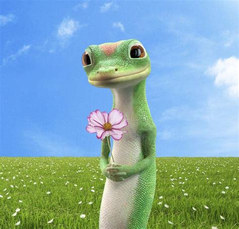 The GEICO Gecko on Twitter | Lizard meme, Geico lizard, Gecko