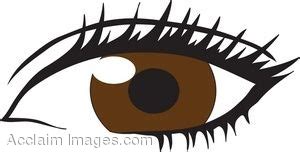 Cartoon Brown Eyes - ClipArt Best