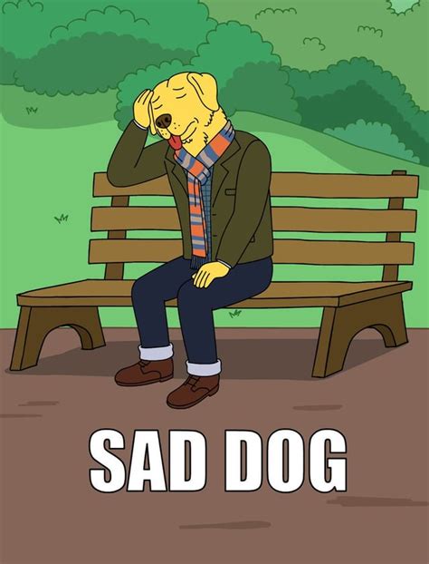 We finally have the Sad Dog meme in HD : r/BoJackHorseman