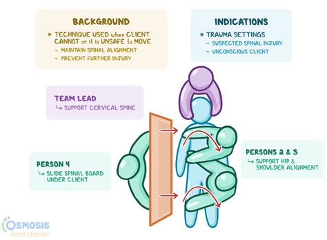 Log Roll Technique: What It Is, Uses, and More | Osmosis