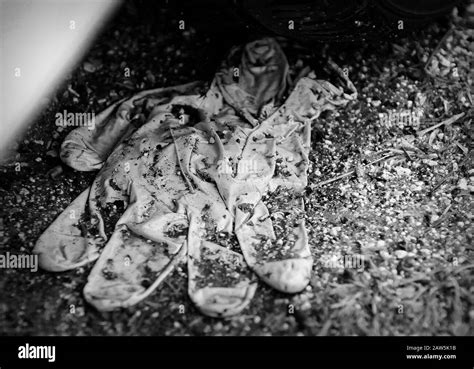 Crime scene Black and White Stock Photos & Images - Alamy