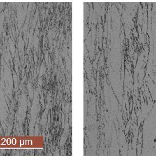 Austenite microstructure after quenching (1250-1040°C condition). | Download Scientific Diagram