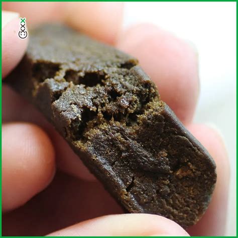 Is Making Hash Difficult? | Amsterdam Genetics