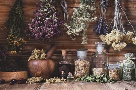 How to Dry Herbs: 3 Things You Need to Consider