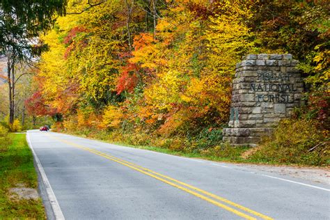 2015-10-25_pisgah-davidson-river_pisgah-national-forest-stone-entrance-marker-fall-color.jpg ...