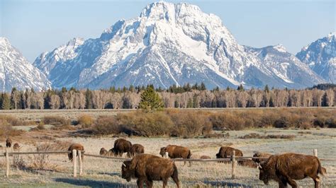 Jackson Hole Resort | Luxury Ski Lodge Teton Village | Four Seasons