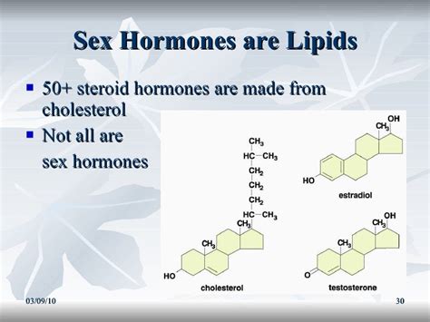 Lipids