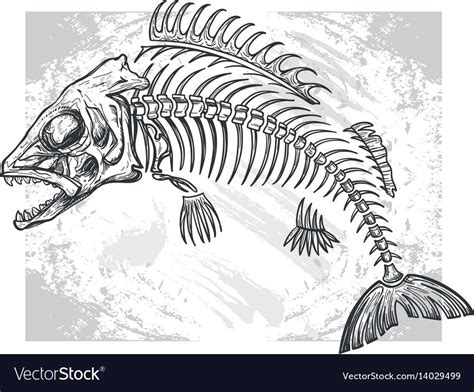 hand drawn fish skeleton sketch, vector illustration. Download a Free Preview or High Quality ...