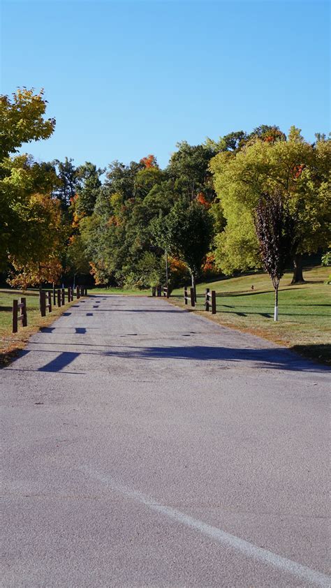 A road with trees on the side photo – Free Cedar rapids Image on Unsplash