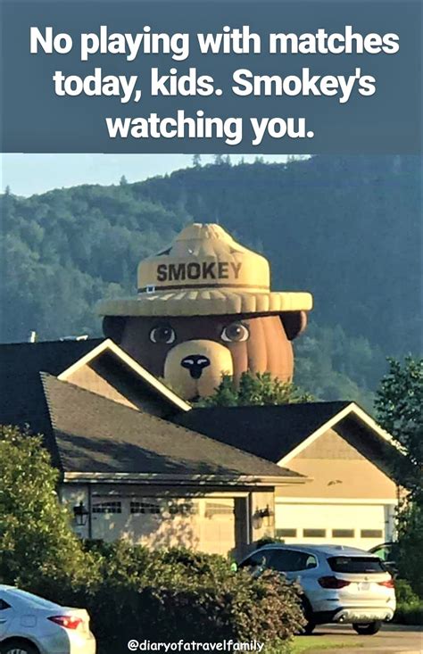 He's. Always. Watching | Smokey The Bear | Know Your Meme