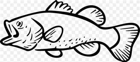 Bass Fishing Largemouth Bass Clip Art, PNG, 1000x445px, Bass, Area, Arm ...