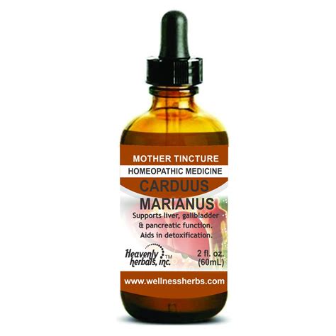 Buy Heavenly als, Inc. Carduus Marianus Q - Mother Tincture - Supports Liver, Gallbladder ...