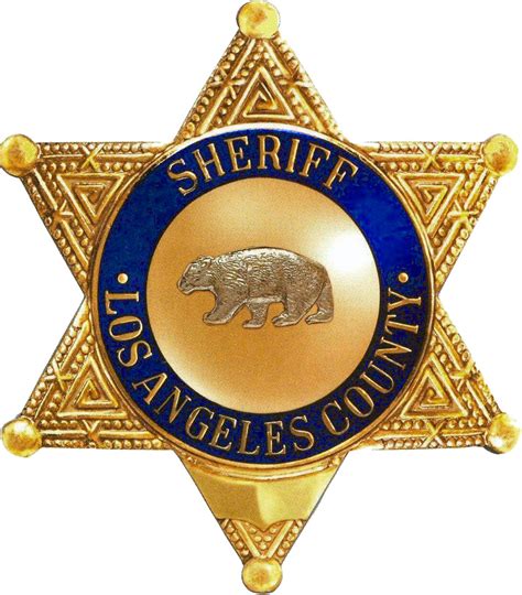 New sheriff in town: A look at 7 potential successors to LA Sheriff Lee ...