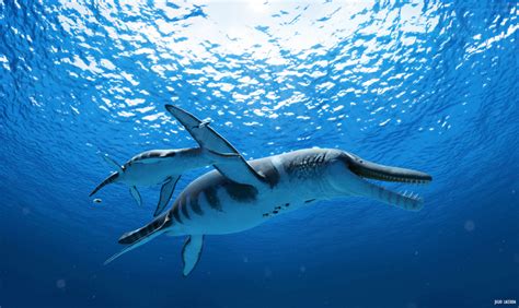 Pliosaurs - Tumblr Gallery