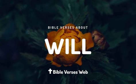 30 Bible Verses About God's Will | King James Version