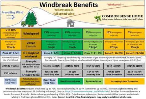 Windbreak Design: Maximize Your Land's Potential