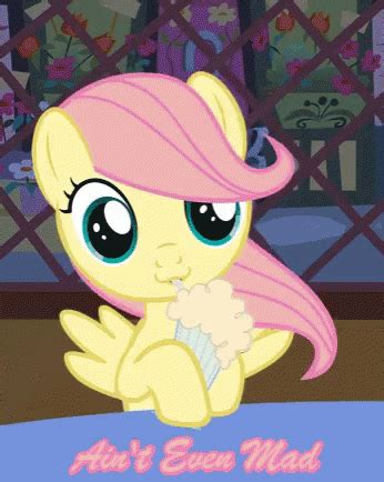 Fluttershy Mlp GIF - Fluttershy Mlp Aint Even Mad - Discover & Share GIFs | Little pony, Mlp my ...