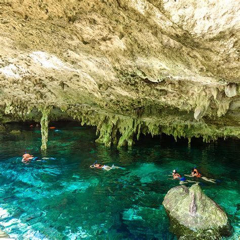 Snorkeling Dos Ojos Cenote or Cozumel • Expert Guides • Book Now • Blue Life