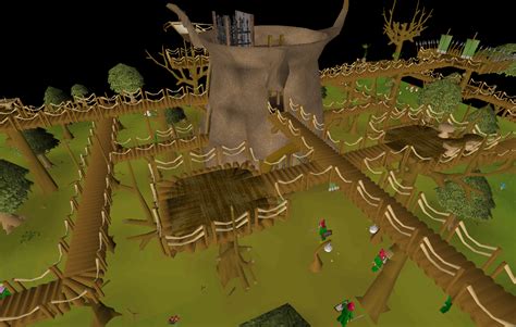 Tree Gnome Stronghold - OSRS Wiki