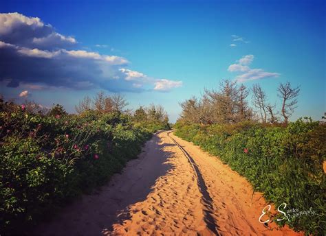 Secret Beaches in Westerly - WESTERLY RI