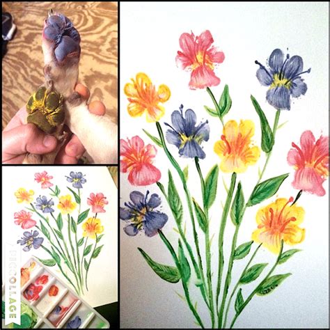 Pet Owners Are Making Paw-Fect Flower Paintings With Their Dogs’ Feet