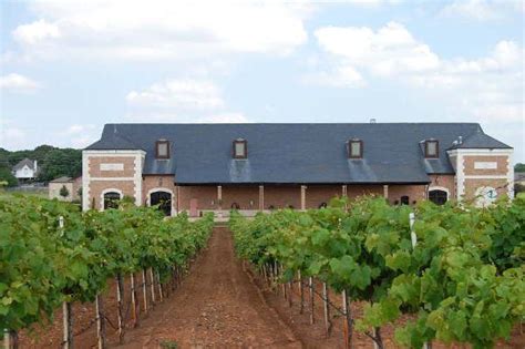 Grapevine Texas | Grapevine texas, Grape vines, Winery