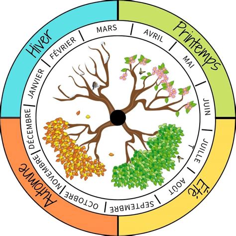 La Roue des Saisons à Imprimer Gratuitement ! - Montessori Easy