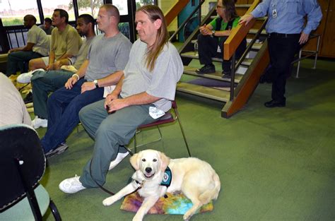 PRISON DOG PROGRAMS ~ BRIDGES and PATHWAYS of COURAGE: OSHKOSH CORRECTIONAL INSTITUTION ...