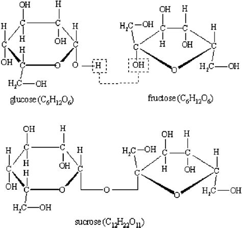 Structural formula of the sucrose (glucose+fructose). | Download ...