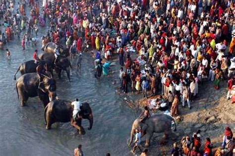 Sonepur Mela, Sonepur Cattle Fair, Sonepur Mela Bihar, Sonepur Festival ...