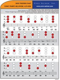 beginner cornet illustrations for fingering - Google Search | Trumpet fingering chart, Trumpet ...