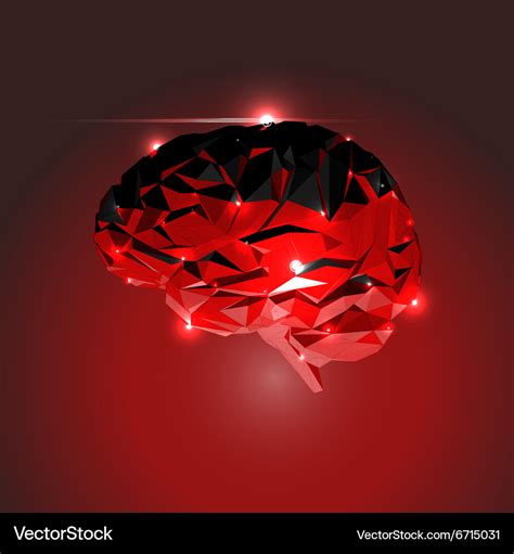 Abstract Human Brain Royalty Free Vector Image