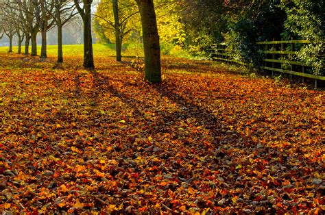 Autumn Landscape Free Stock Photo - Public Domain Pictures