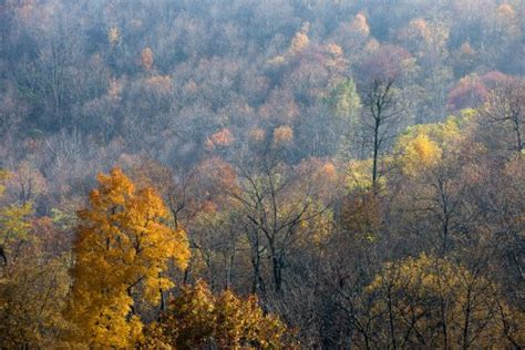 Fall Color on Skyline Drive | Light, Shadow, Form, and Texture