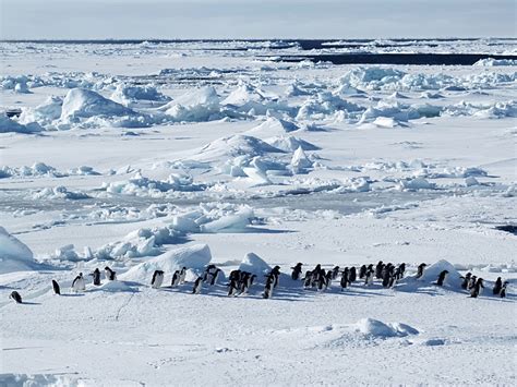 12 of the World’s Most Beautiful Deserts - TripsToDiscover