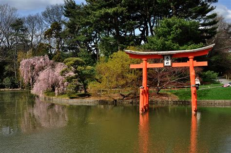 Japanese Garden with orange arch Photograph by Diane Lent - Fine Art America