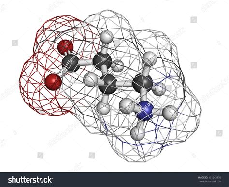 Gamma-Aminobutyric (Gaba) Neurotransmitter, Molecular Model. Atoms Are Represented As Spheres ...