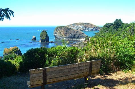 Oceanside views at Harris Beach State Park | Seaside oregon, Beach camping, State park camping