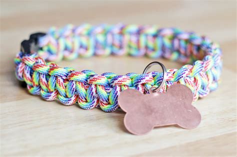 10 Easy DIY Dog Collars To Jazz Up Your Pup's Summer Wardrobe - BarkPost