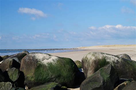 260+ Esbjerg Attractions Stock Photos, Pictures & Royalty-Free Images - iStock