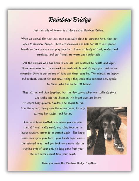 The Rainbow Bridge Poem (Free Printable) - The Clever Heart