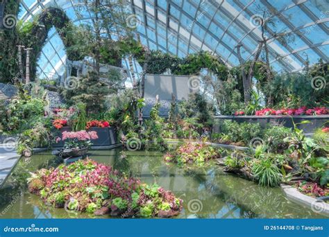 Cloud Forest, Gardens by the Bay Editorial Stock Photo - Image of ...