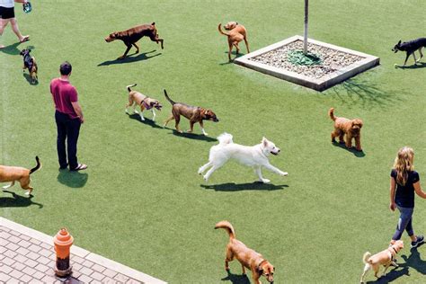 The Ultimate Guide to the Best Dog Parks in Philadelphia