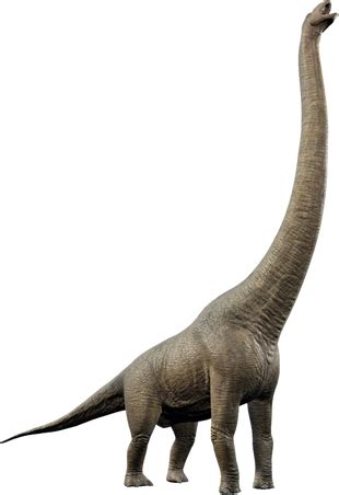 Dreadnoughtus | Dinosaur Protection Group Wiki | Fandom