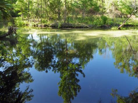 Rock Springs Run State Reserve (Sorrento) - 2020 All You Need to Know Before You Go (with Photos ...