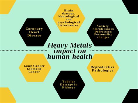 Impact of Heavy Metals on Environment and Human Health - Sigma Earth