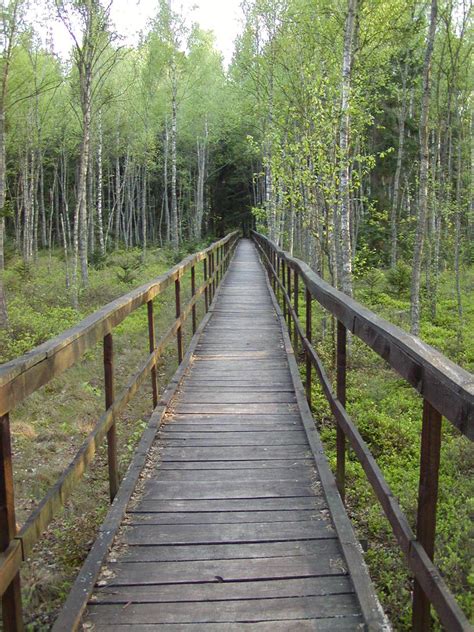 Wooden Walkway Free Photo Download | FreeImages