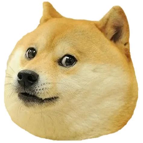 doge Sticker pack - Stickers Cloud